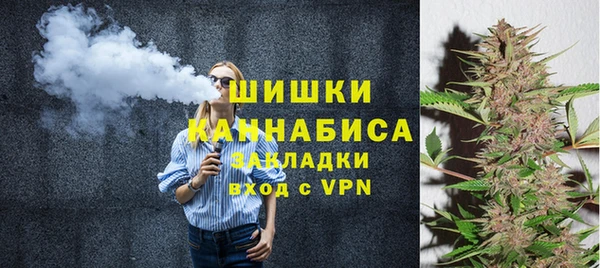 соль ск Няндома