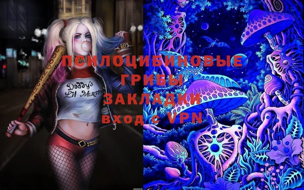 стафф Нягань
