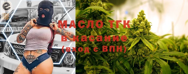 индика Гусиноозёрск