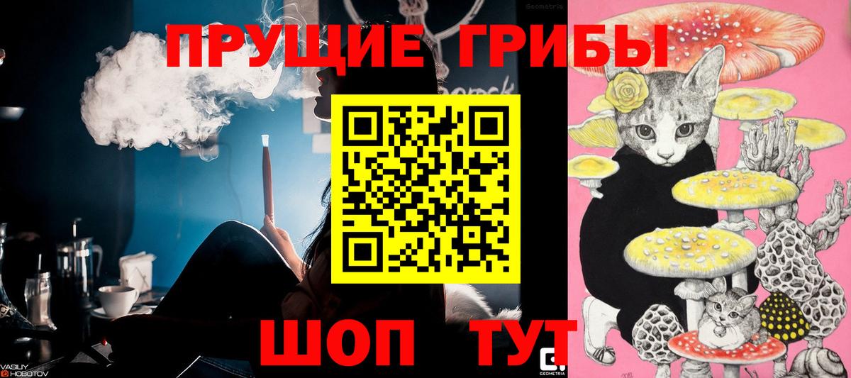 Галлюциногенные грибы мицелий Саки