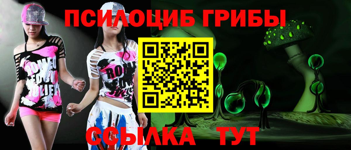 Псилоцибиновые грибы Psilocybine cubensis  Вход с VPN  Галлюциногенные грибы Psilocybe  наркотики  Саки 