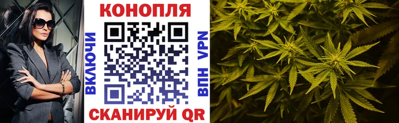 блэк спрут ссылка  Саки  Канабис ГИДРОПОН 